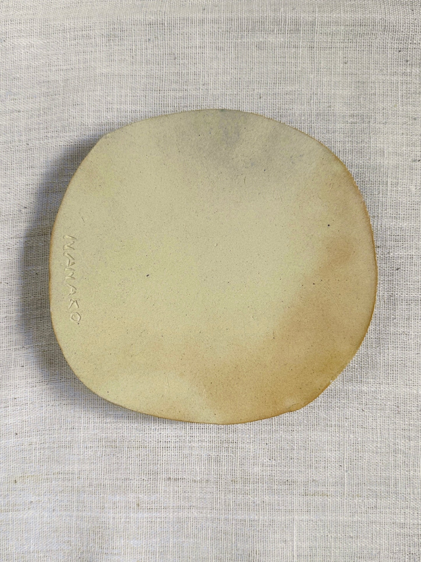 Colour  Wheel Plate